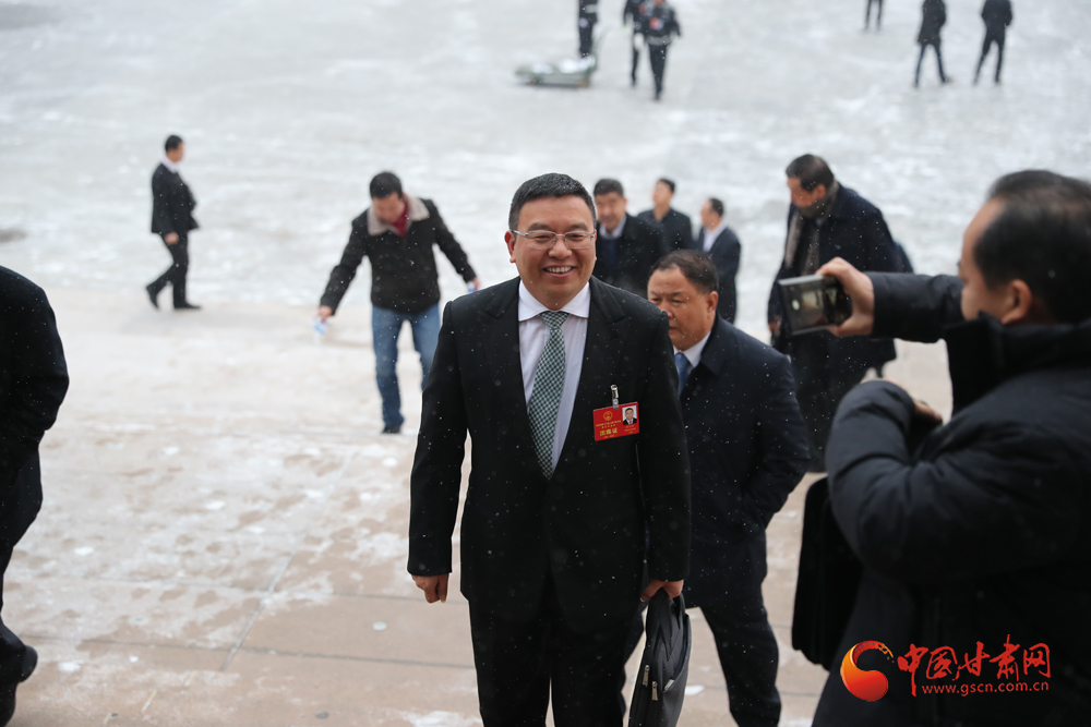 【聚焦2020甘肅兩會】“兩會”代表、委員風采掠影（組圖）