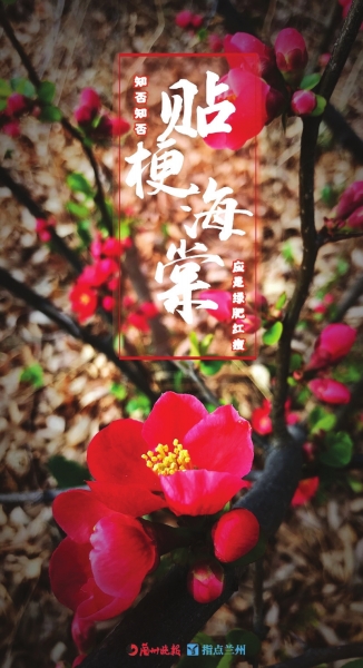 來，跟這些美美的花朵認(rèn)識(shí)一下！