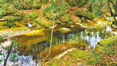 甘肅旅游丨八福溝，西秦嶺深處的水韻秘境