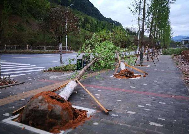 刮風(fēng)下雨加速新冠病毒傳播？別信！