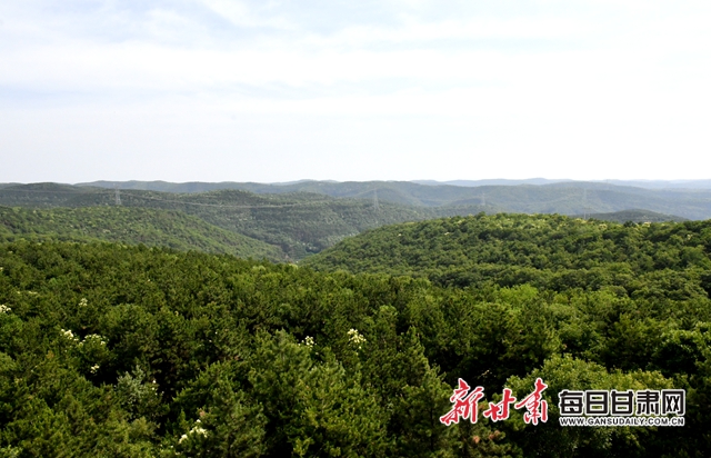 【甘肅生態(tài)環(huán)保媒體行】子午嶺深處，一家三代人用生命守護黃土高原的“天然生態(tài)屏障”