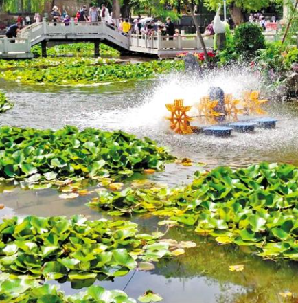 走，到五泉山公園看花展去