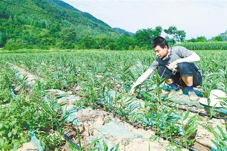 【走向我們的小康生活】安居樂業(yè) 幸?；ㄩ_
