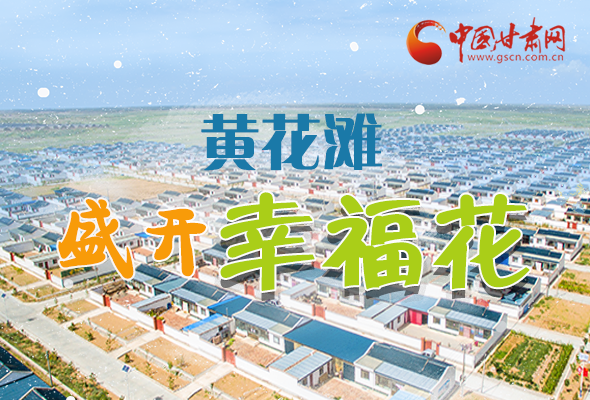 【跟著總書(shū)記看甘肅】長(zhǎng)圖|武威黃花灘盛開(kāi)幸?；?