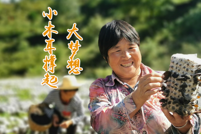 海報(bào)丨他們，乘“豐”破浪！