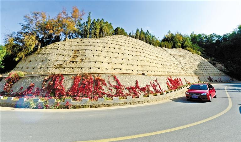 近90度陡坡上種樹！蘭州南北兩山綠化出新招