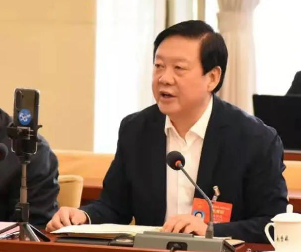 【聚焦2021全國兩會】全國人大代表、市委書記楊維俊接受中國日報記者采訪