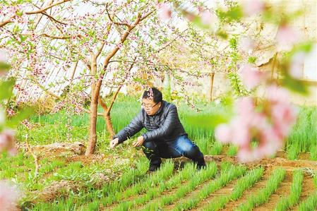甘肅：時(shí)令催人耕種忙，不誤田間一季春