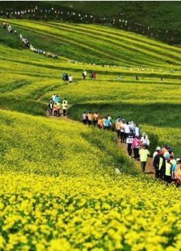 甘肅明確農(nóng)民進(jìn)城落戶:不以退出承包地、林地等為條件