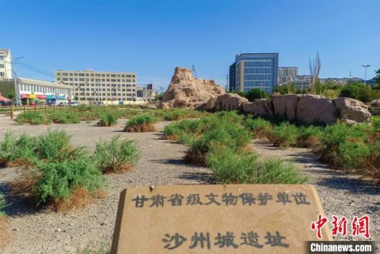 圖為沙州郡城遺址公園古遺址。　王斌銀 攝