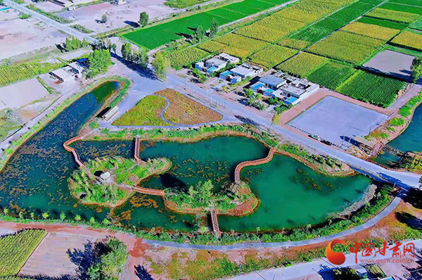 【小康圓夢·看甘肅】臨澤縣鴨暖鎮(zhèn)：精雕細琢“繡”出美麗鄉(xiāng)村新畫卷