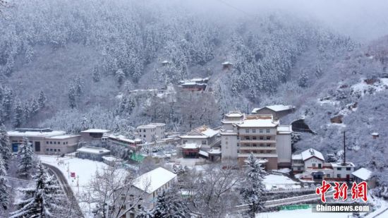 圖為籠罩在雪下的世界。吳永 攝