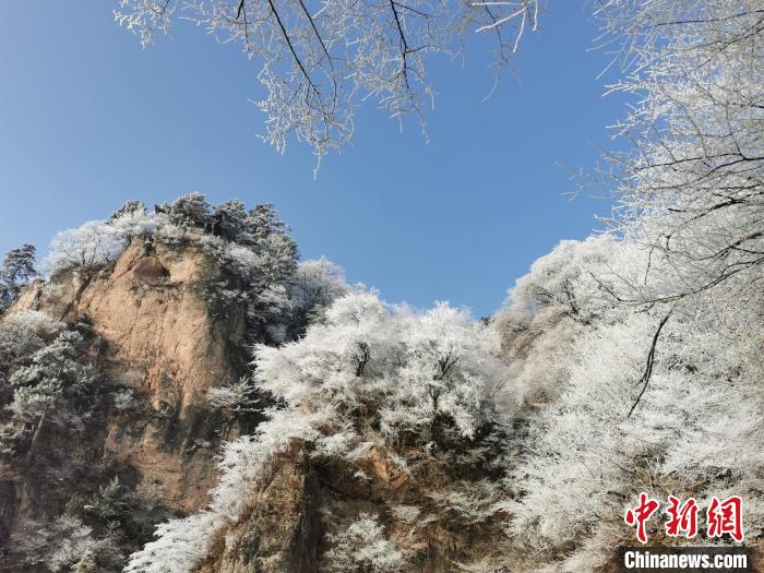 圖為藍天下霧凇籠罩山脈?！⌒煺袢A 攝
