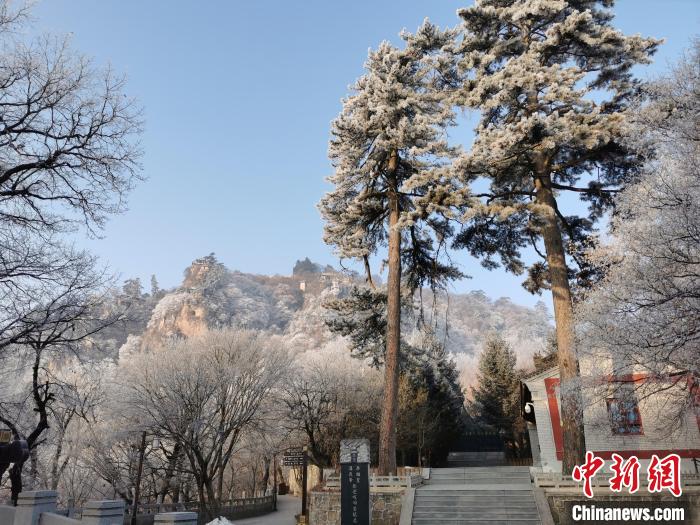 圖為崆峒山霧凇景色美不勝收?！⌒煺袢A 攝