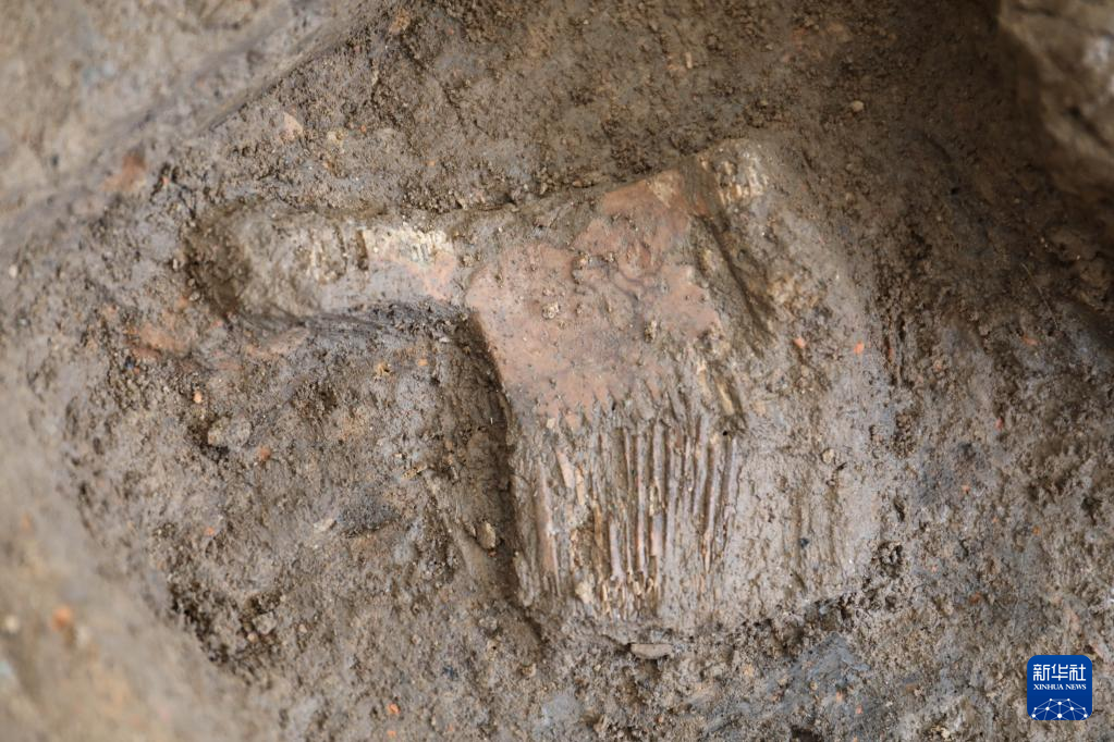 河南南陽市黃山新石器時代遺址出土的屈家?guī)X文化骨梳（資料圖）。