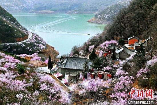 甘肅平?jīng)鍪惺侵袊鴥?yōu)秀旅游城市。圖為平?jīng)鲠轻忌较率锾一ㄊ㈤_。(資料圖) 平?jīng)鍪形麄鞑抗﹫D