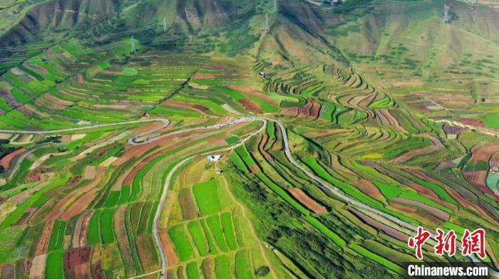 秋日里，榆中縣馬坡鄉(xiāng)千畝梯田，不同農(nóng)作物漸趨成熟，呈現(xiàn)出多種色彩，宛若大地的“調(diào)色盤”?！圆?攝