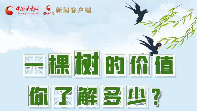 圖解|一棵樹的價值你了解多少?來看！
