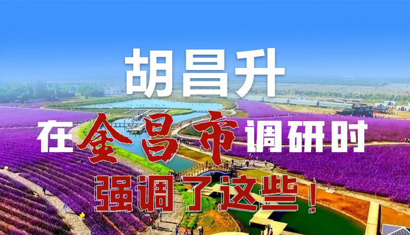 圖解|胡昌升在金昌市調(diào)研時強調(diào)了這些！