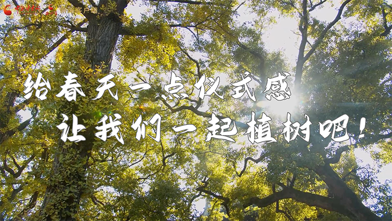 短視頻|給春天一點(diǎn)儀式感，讓我們一起植樹(shù)吧！