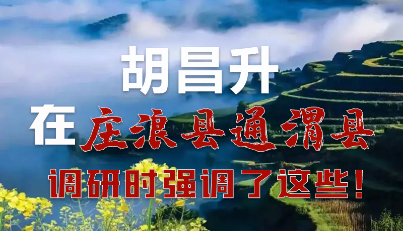 圖解|胡昌升在莊浪縣通渭縣調(diào)研時強(qiáng)調(diào)了這些！