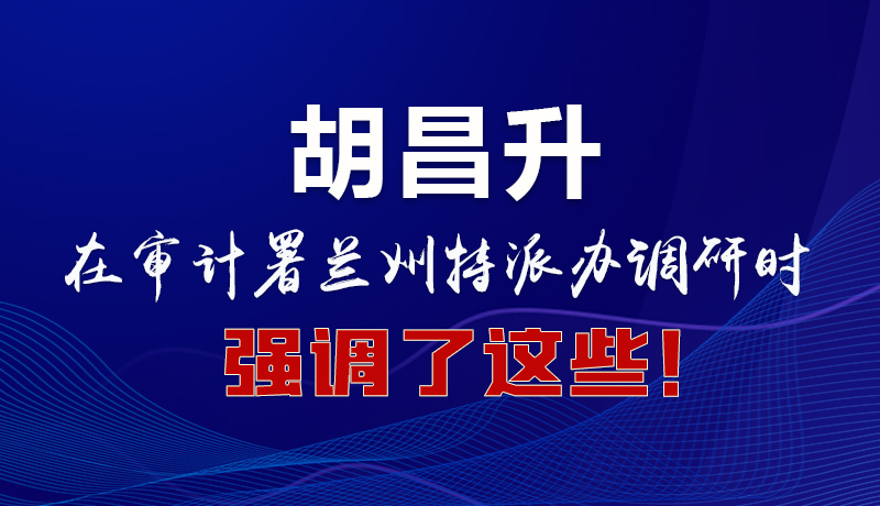 圖解|胡昌升在審計署蘭州特派辦調(diào)研時強調(diào)了這些！