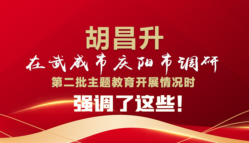 圖解|胡昌升在武威市慶陽市調(diào)研第二批主題教育開展情況時強(qiáng)調(diào)了這些！