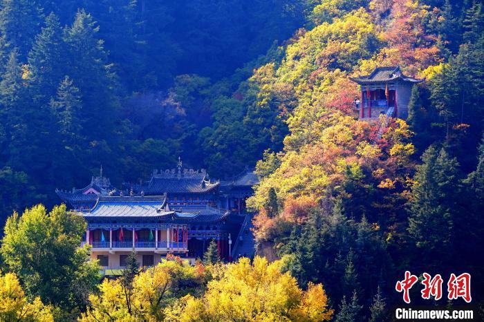 深秋，位于蘭州市榆中縣的興隆山景色如畫。宮衛(wèi)紅 攝
