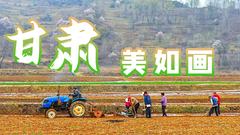 微海報|甘肅，美如畫