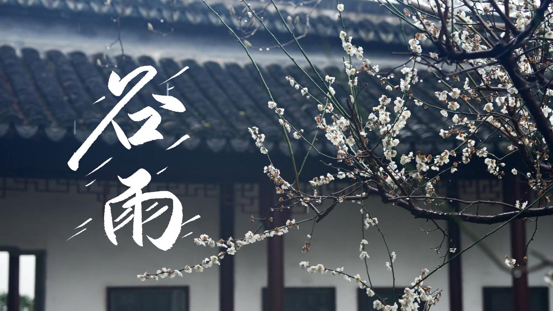 【節(jié)氣里的大美甘肅】谷雨，春天的最后一次回眸