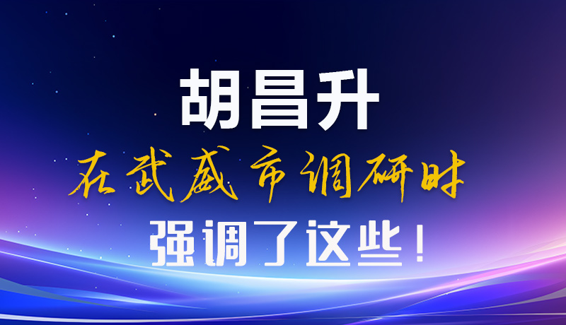圖解|胡昌升在武威市調(diào)研時強調(diào)了這些！