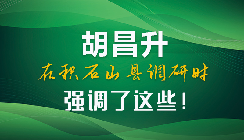 圖解|胡昌升在積石山縣調(diào)研時(shí)強(qiáng)調(diào)了這些！