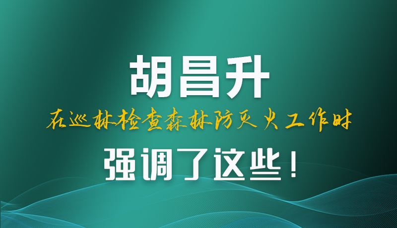 圖解|胡昌升在巡林檢查森林防滅火工作時強調了這些！