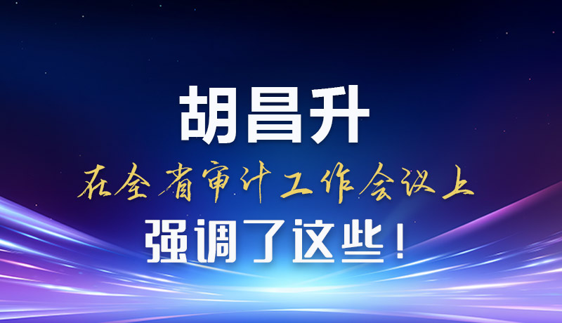 圖解|胡昌升在全省審計(jì)工作會(huì)議上強(qiáng)調(diào)了這些！