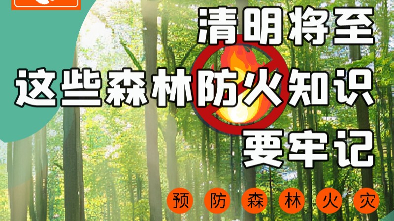 【甘快看】圖解|緊繃“安全弦”！清明，這些森林防火知識(shí)要牢記