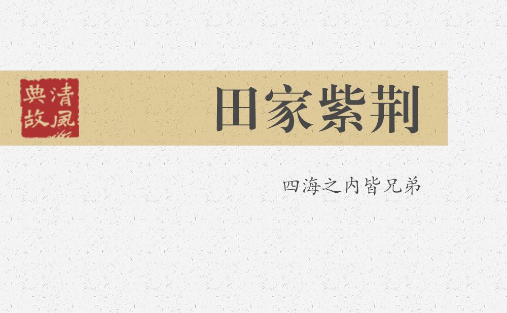 田家紫荊 | 四海之內(nèi)皆兄弟